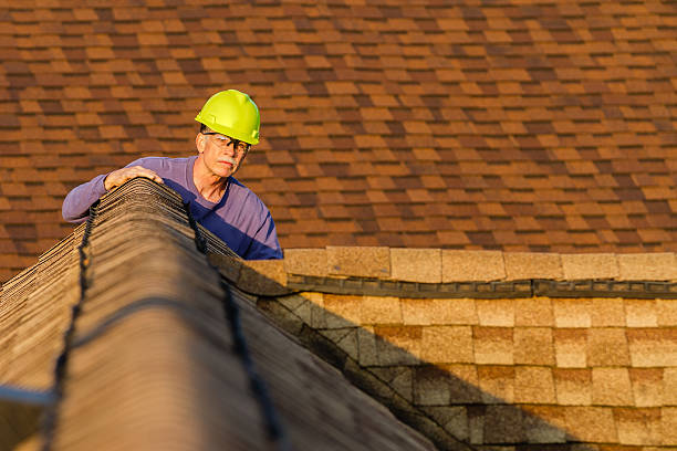 Best Commercial Roofing Services  in Dillingham, AK